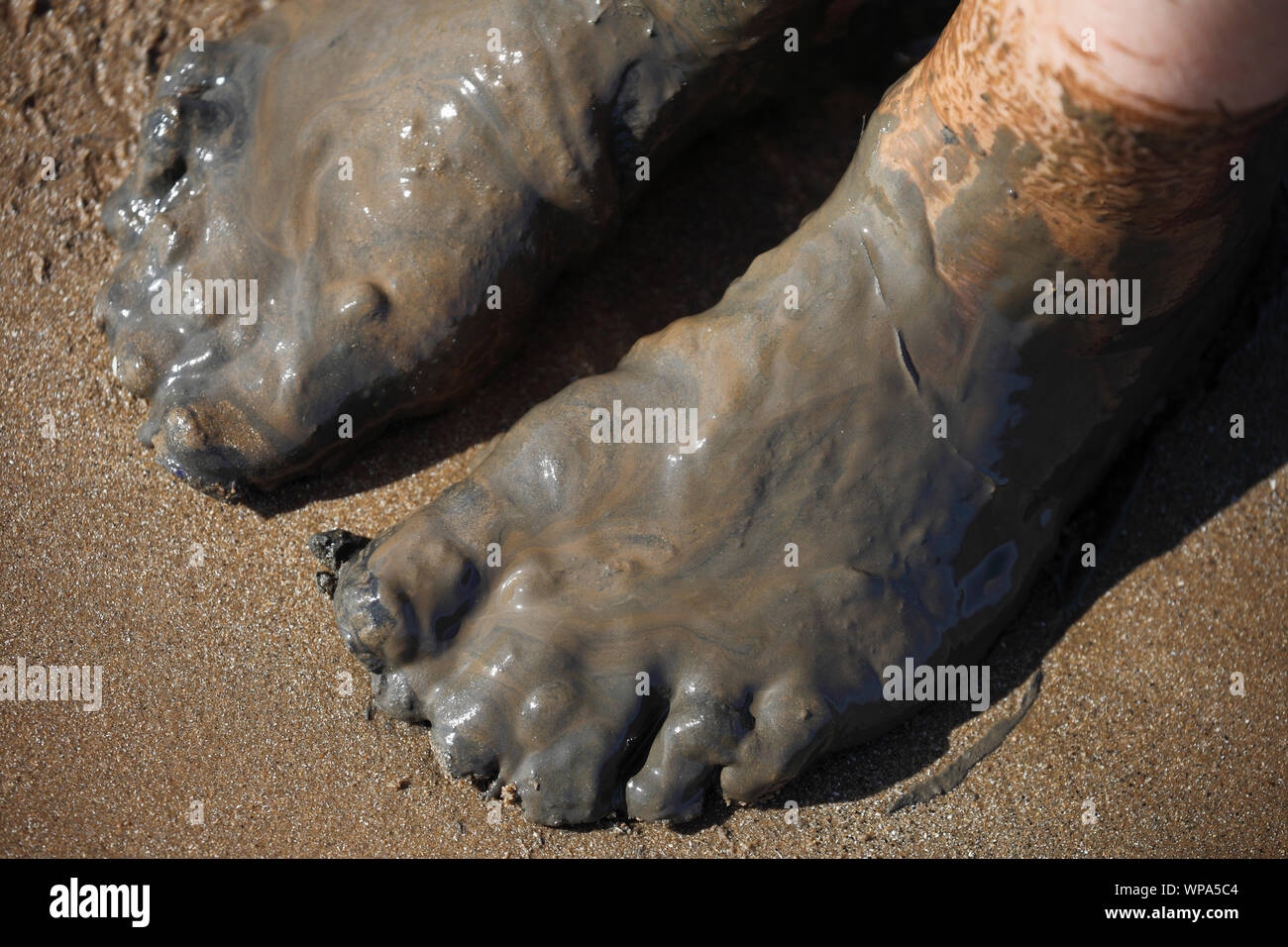 Feet covered in slimy muddy mud on a beach. Stock Photo