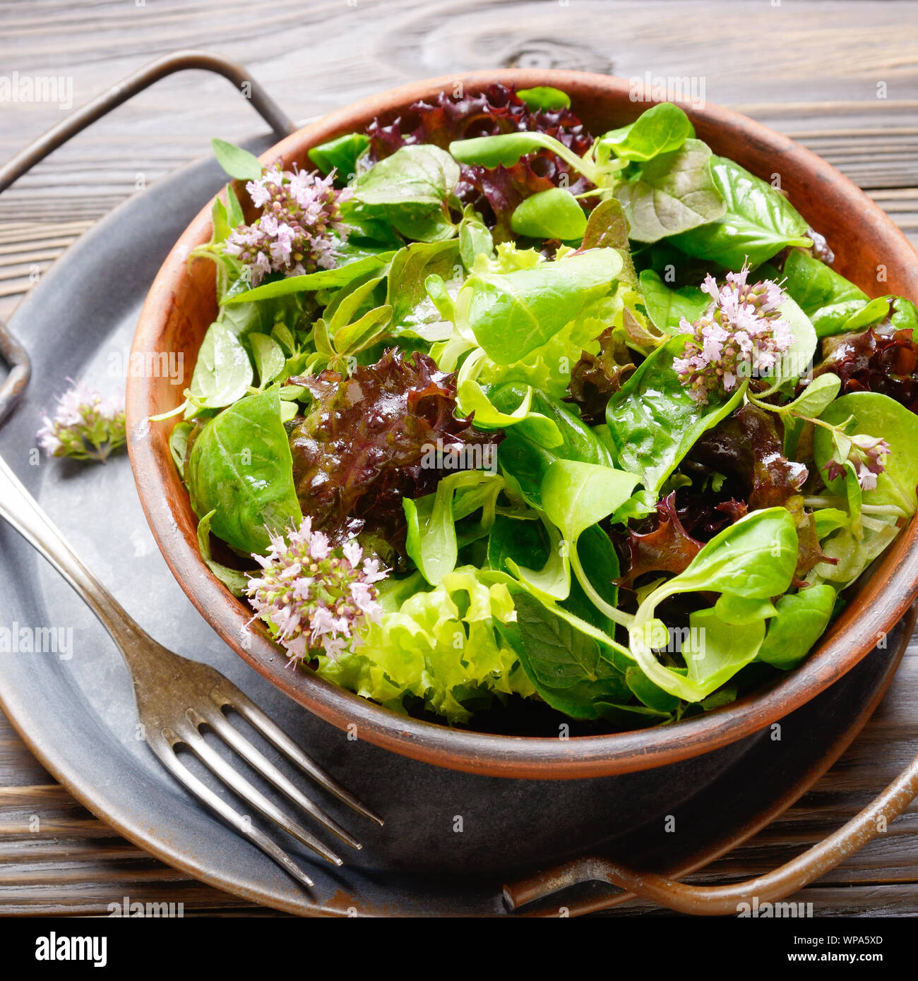 Clay dish with green and violet lettuce, lamb's lettuce salad with oregano flowers on vintage metal tray. Fork aside Stock Photo