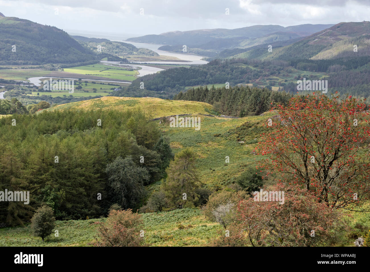 A view of the Mawddach Estuary from the Precipice Walk, Snowdonia National Park, North Wales, UK Stock Photo