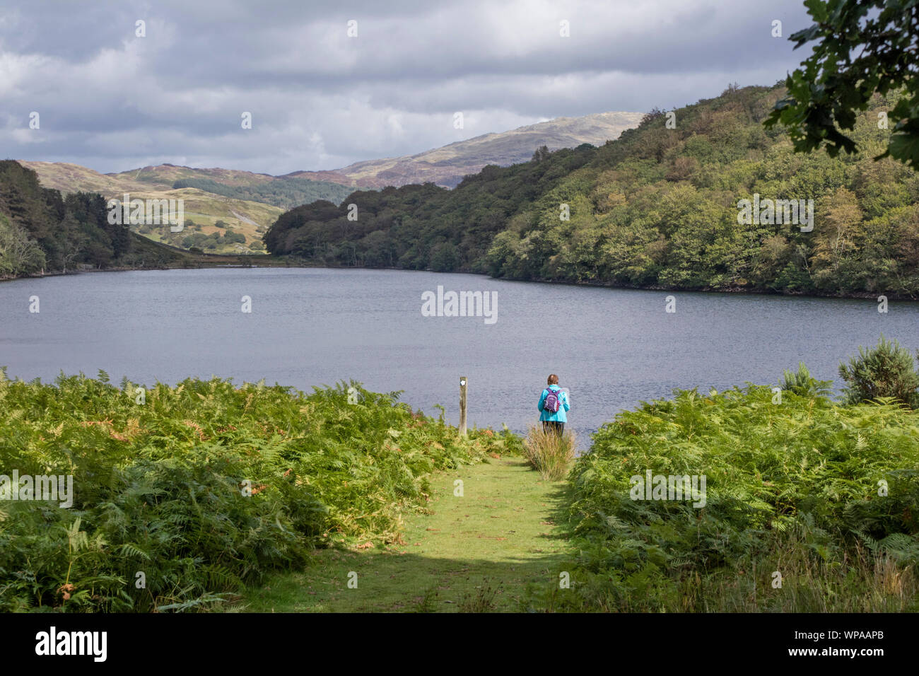 Llyn Cynwch lake on the popular Precipice Walk, Snowdonia National Park, North Wales, UK Stock Photo