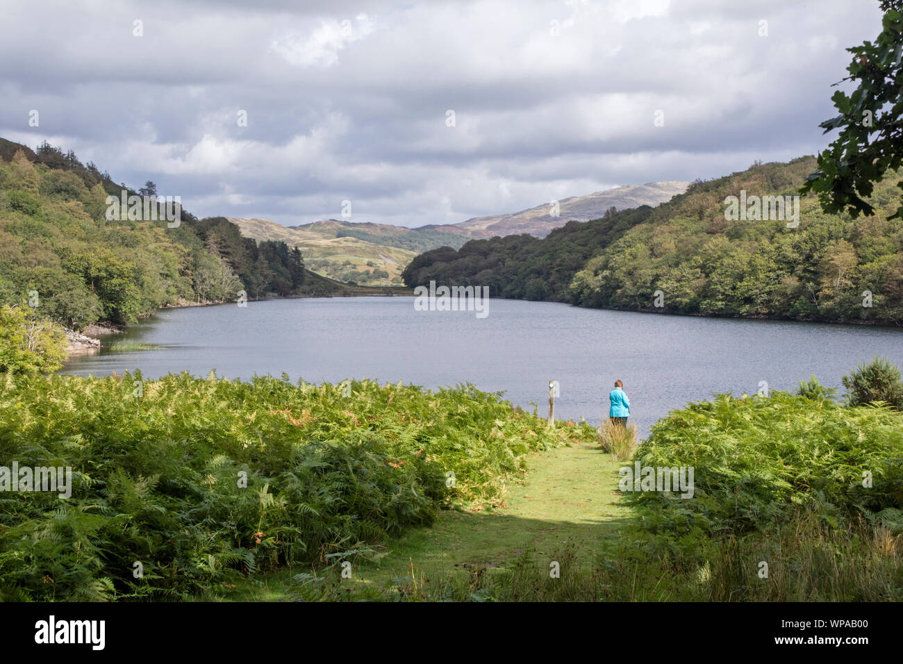 Llyn Cynwch lake on the popular Precipice Walk, Snowdonia National Park, North Wales, UK Stock Photo