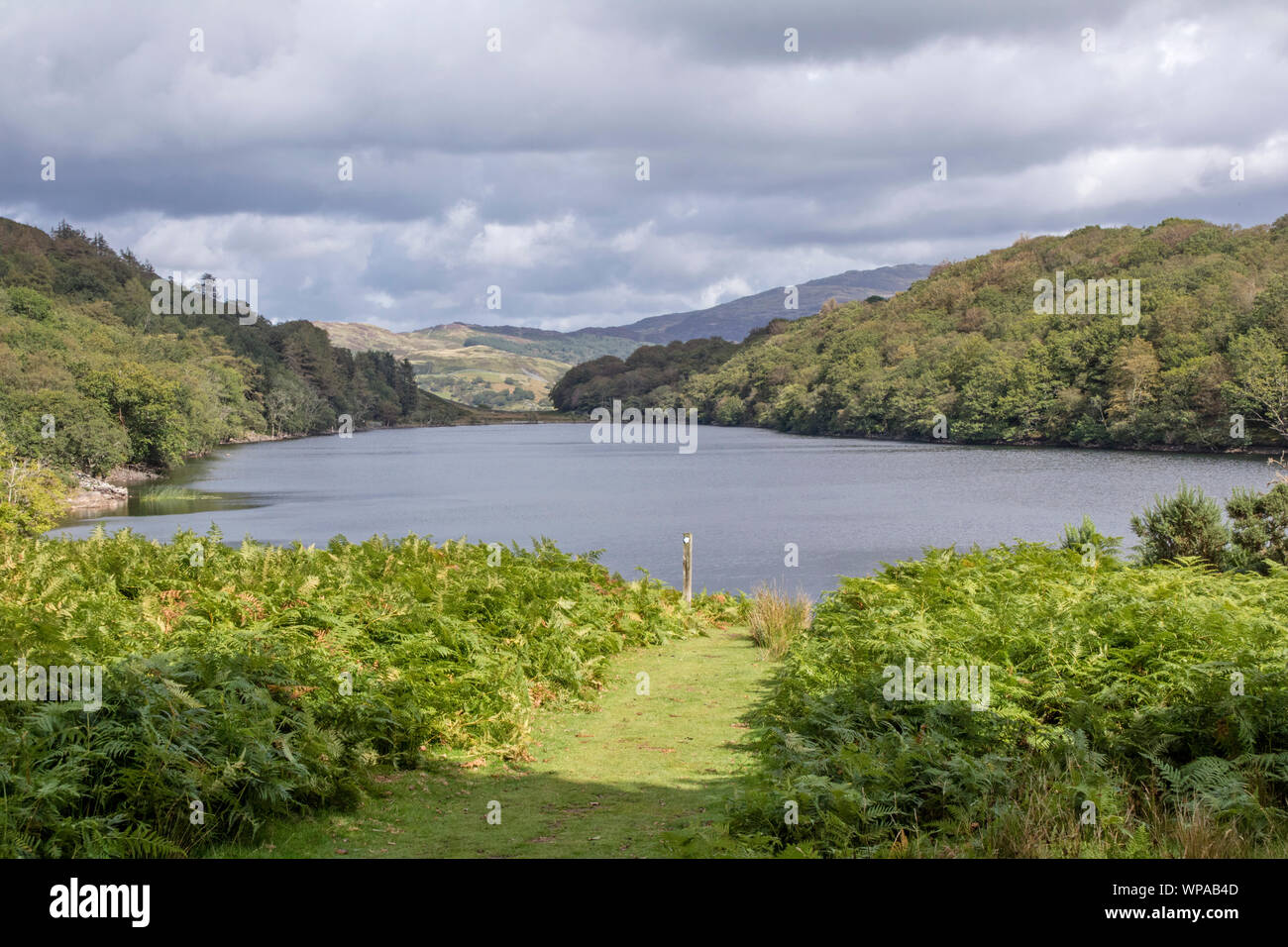 Llyn Cynwch lake on the popular Precipice Walk, Snowdonia National Park, North Wales, UK Stock Photo