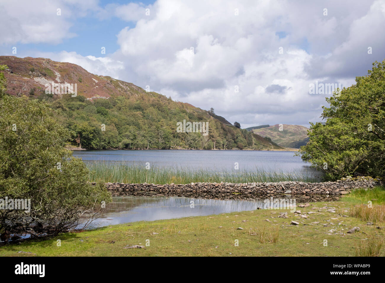 Llyn Cynwch lake on the popular Precipice Walk, Snowdonia National Park, North Wales, UK Stock Photo