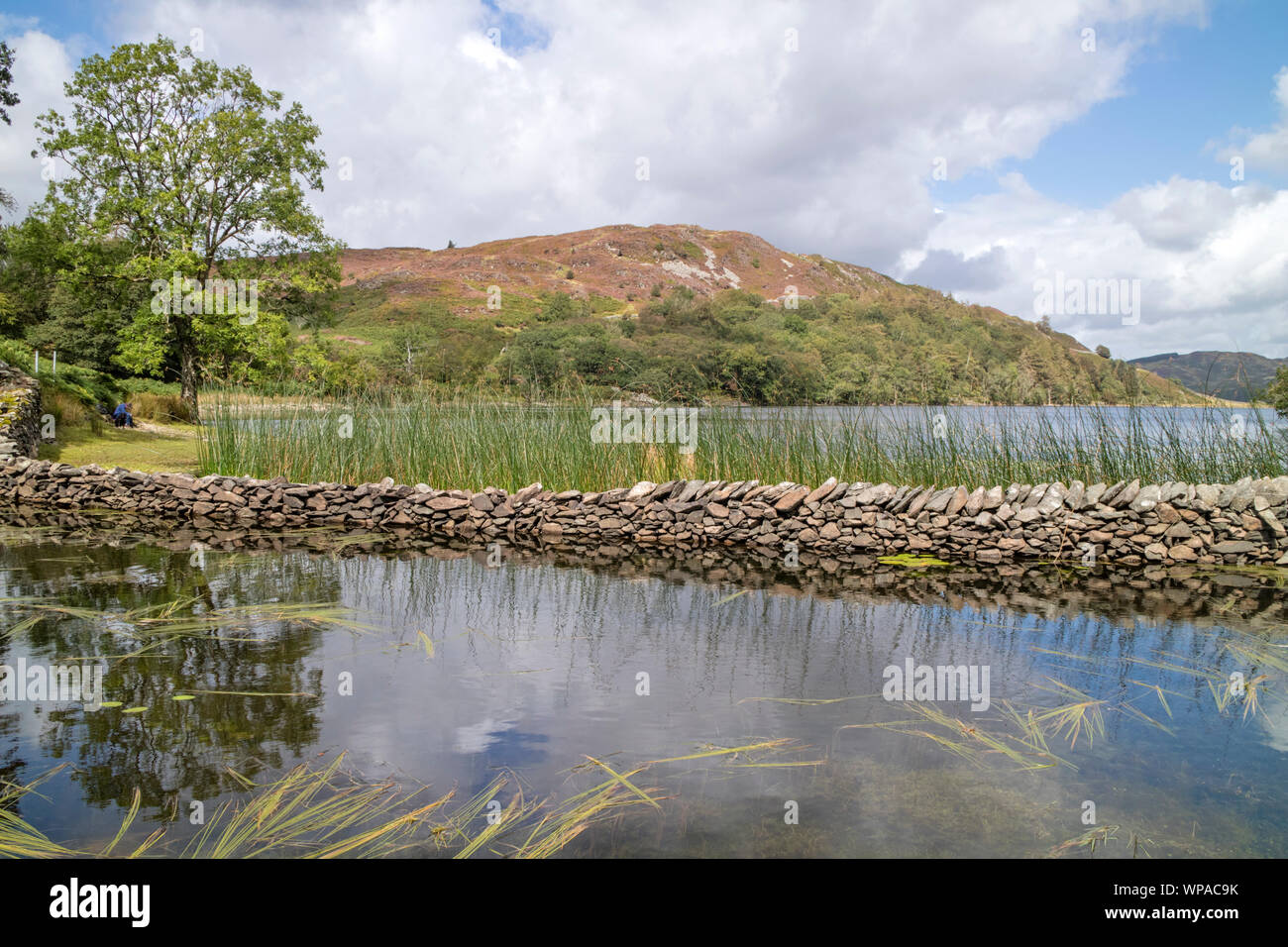 Llyn Cynwch lake on the popular Precipice Walk, Snowdonia National Park, North Wales, UK Stock Photo