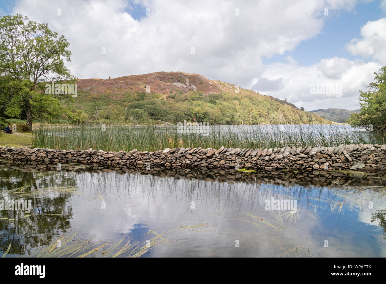Llyn Cynwch lake on the popular Precipice Walk, Snowdonia National Park, North Wales, UK Stock Photo