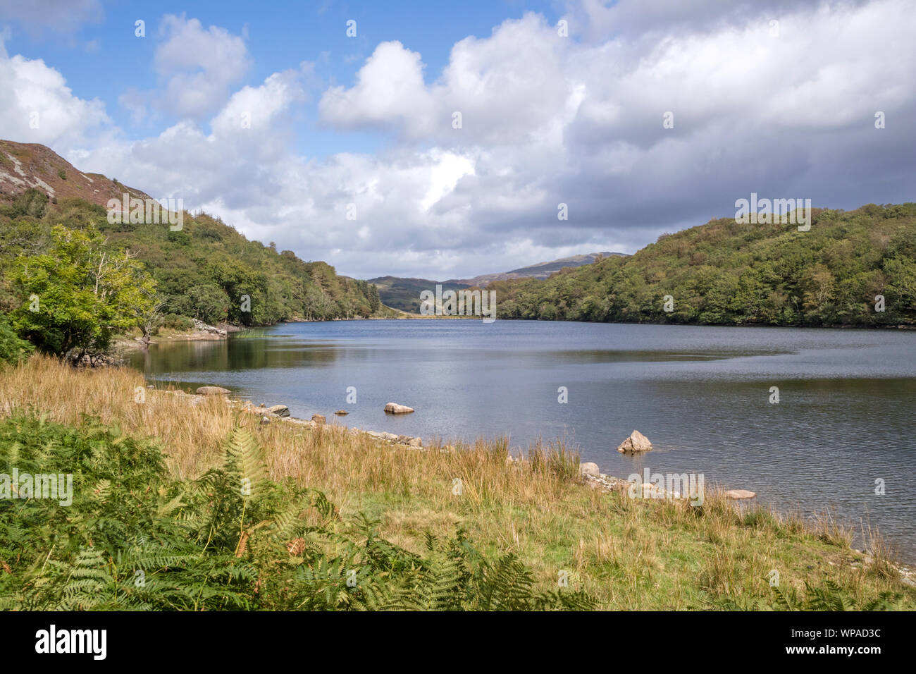 Llyn Cynwch lake on the popular Precipice Walk, Snowdonia National Park, North Wales, UK Stock Photo