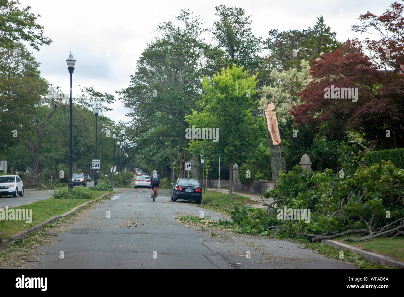 Halifax, Nova Scotia September 8 2019 Broken or split trees in