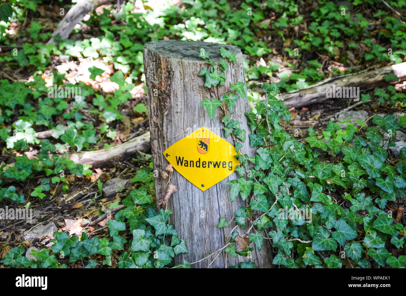 Yellow hiking trail mark on a wooden stump in nature. Sign TRANSLATION: Wanderweg - trail, hiking path in German. Tourist signs help for orientation on a hiking path. Trailblazing, waymarking. Stock Photo