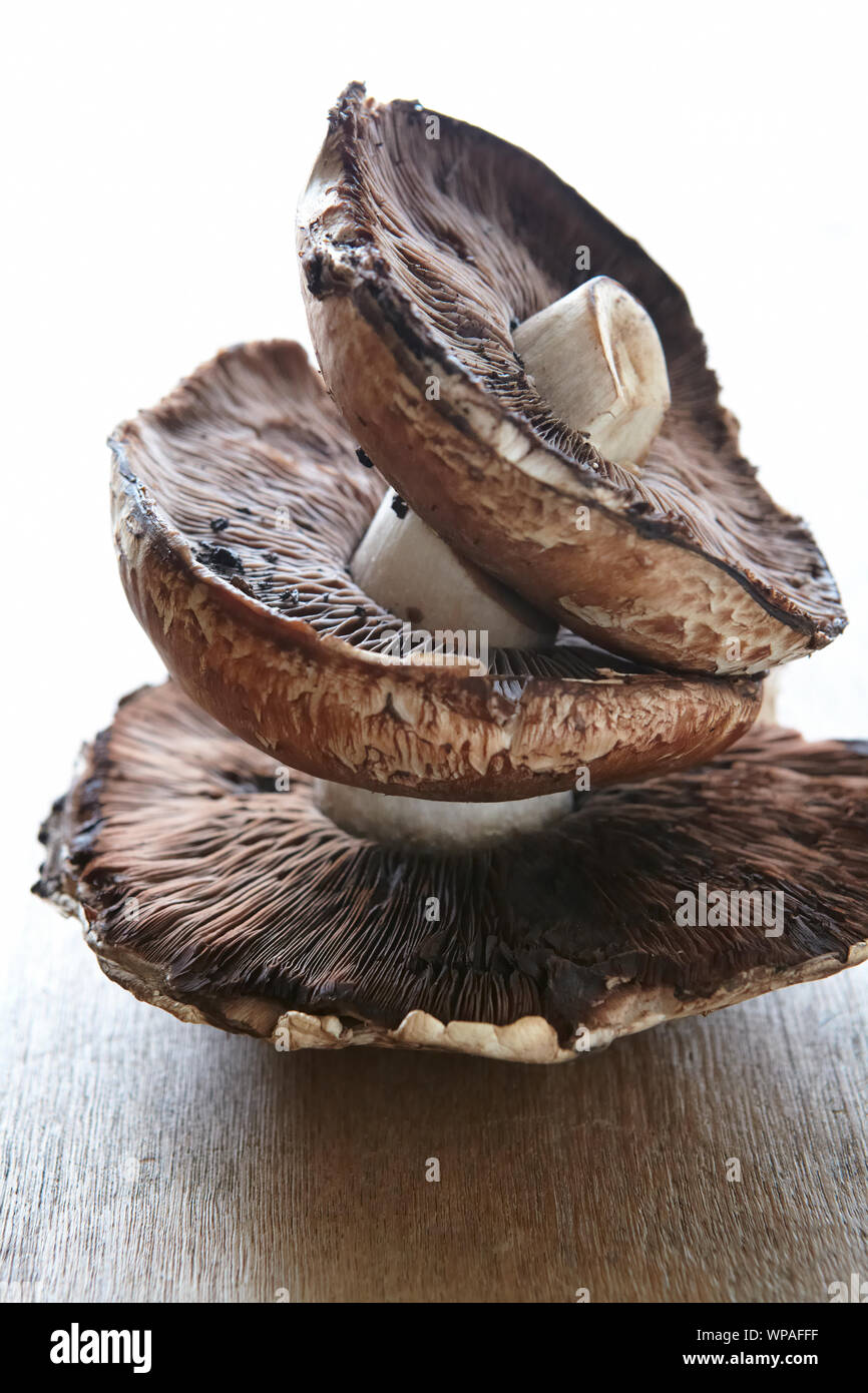 Portobello farm hires stock photography and images Alamy