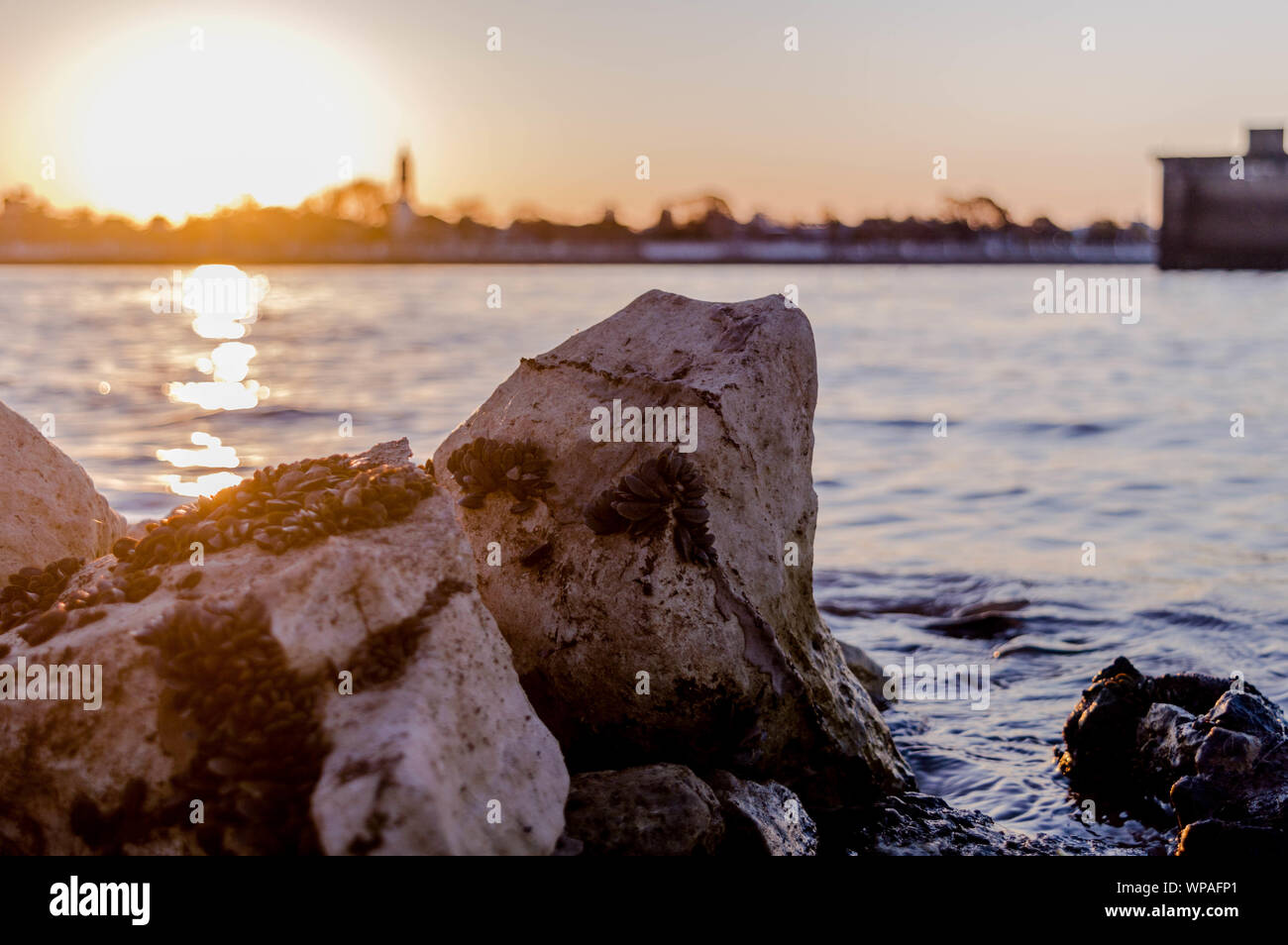 Rocks and environment landscape outdoor color ocean river hi-res stock ...
