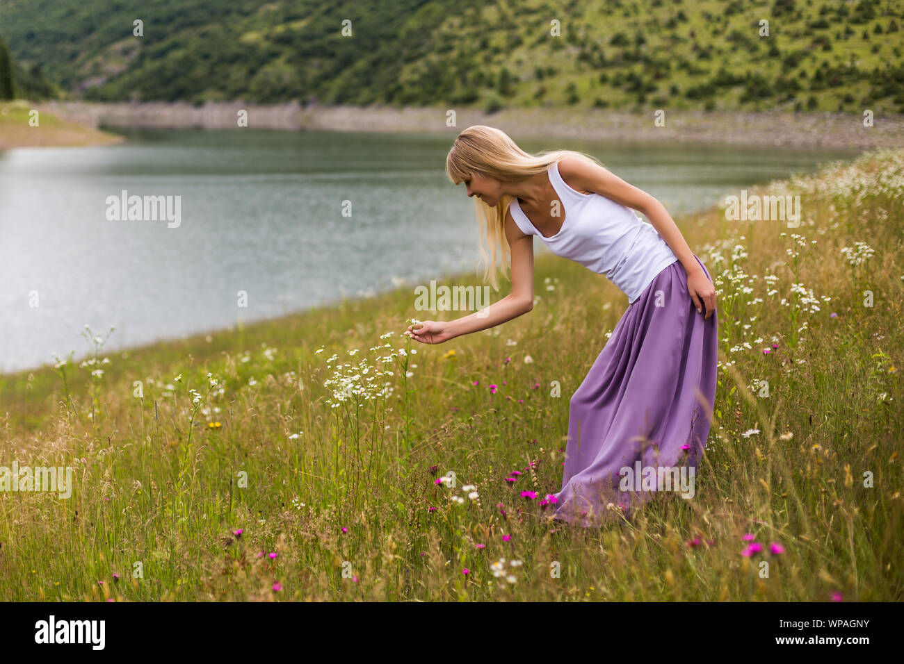 Woman picking up flowers hires stock photography and images Alamy