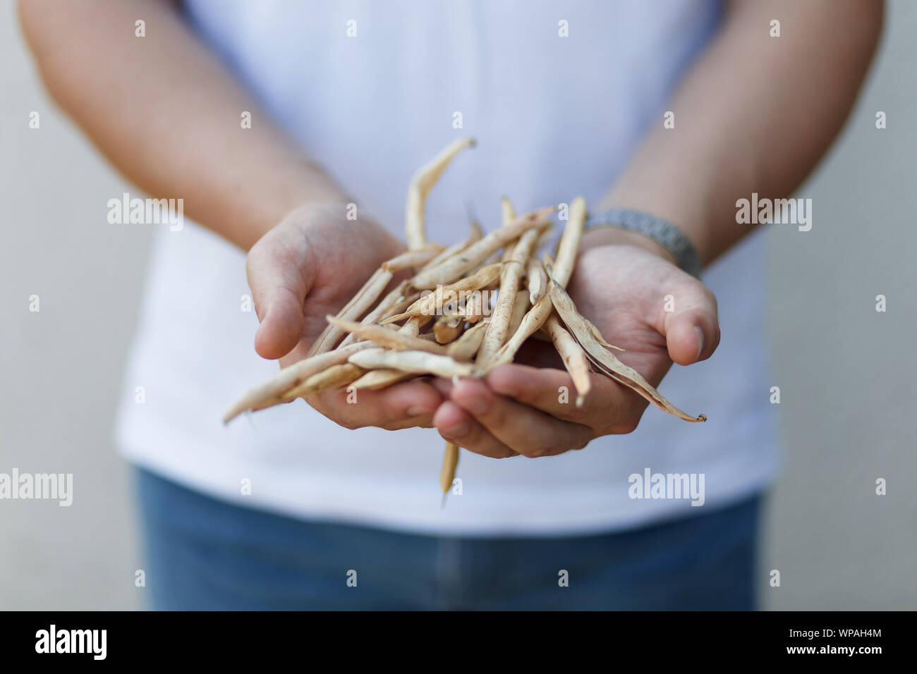 A farmer boy is holding couple of dry beans at white background Stock Photo