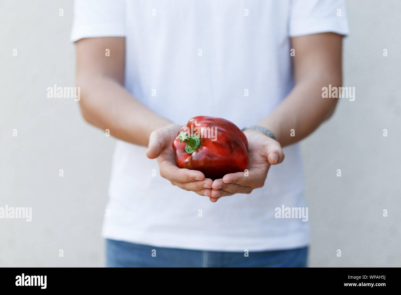 A farmer boy is holding big red bell pepper at white background Stock Photo