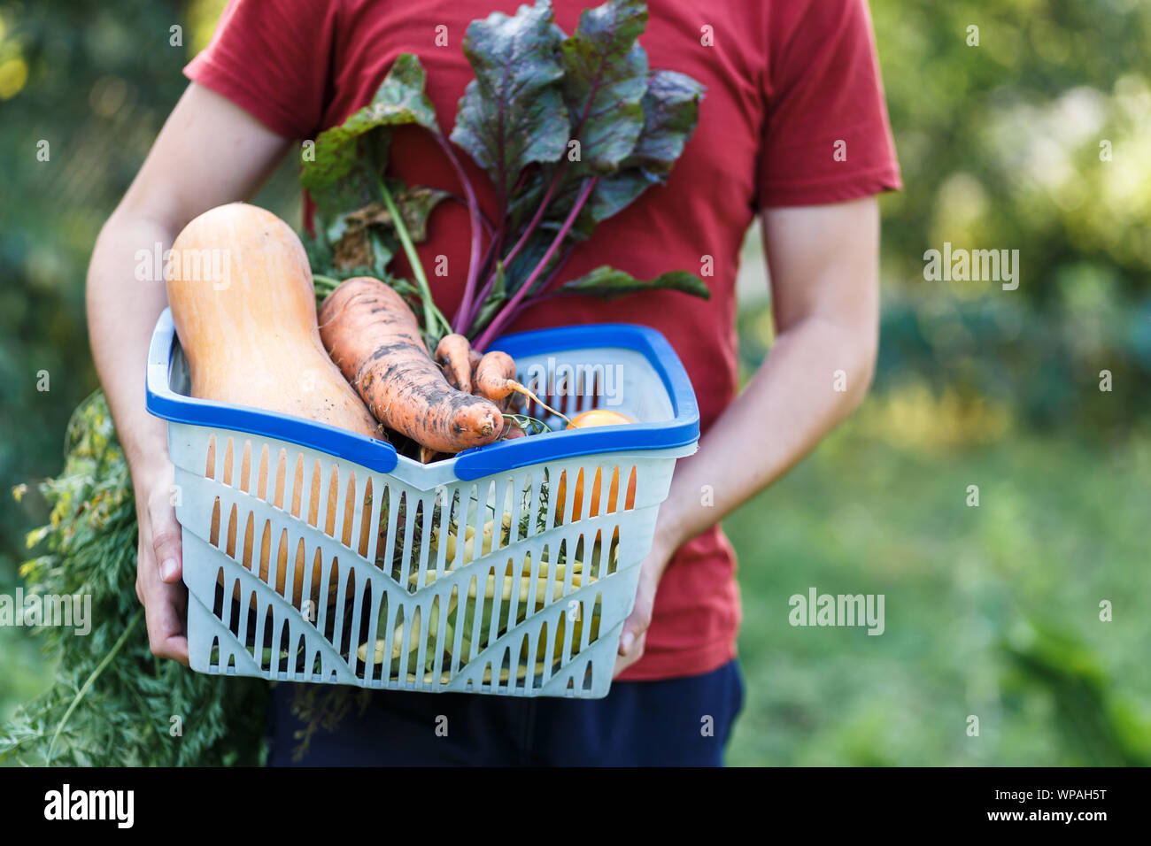 A farmer boy is holding basket full of vegetables at green farm Stock Photo