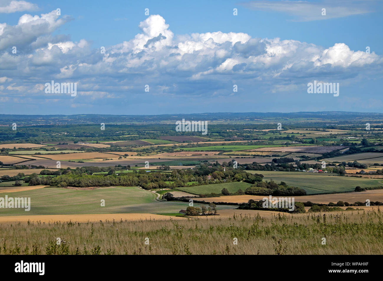 View of farming landscape in summer near Charleston& West Firle towards Lewes from the South Downs Way in East Sussex, England UK  KATHY DEWITT Stock Photo