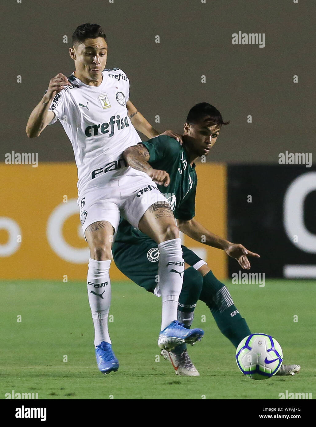 GOIÂNIA, GO - 07.09.2019: GOIÁS X PALMEIRAS - SE Palmeiras player Diogo Barbosa disputes the ball with Goias EC player Michael during a match for the eighteenth round of the Serie A Brazilian Championship, at Serra Dourada Stadium. (Photo: Cesar Greco/Fotoarena) Stock Photo