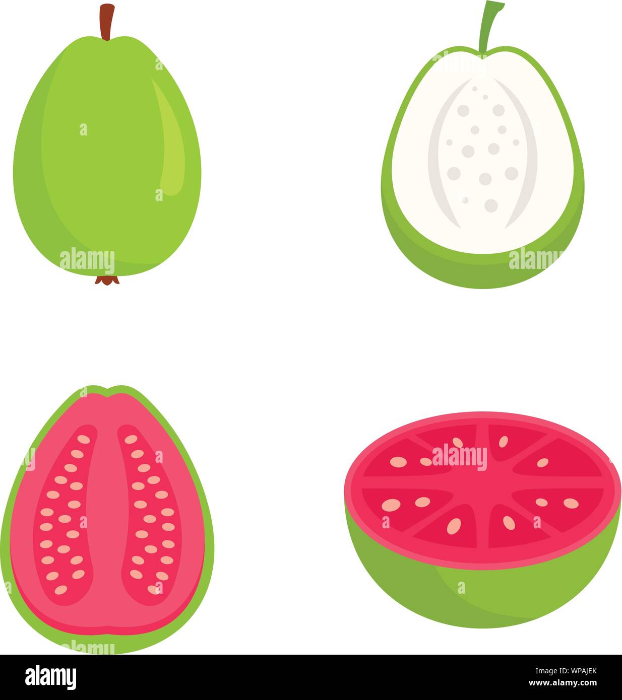 Guava Stock Vector Images - Alamy