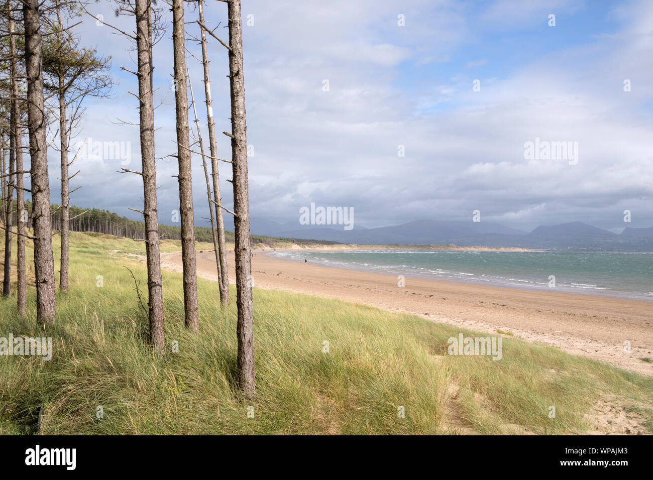 Newborough Warren National Nature Reserve, Ynys Llanddwyn Island, Anglesea, North Wales, UK Stock Photo