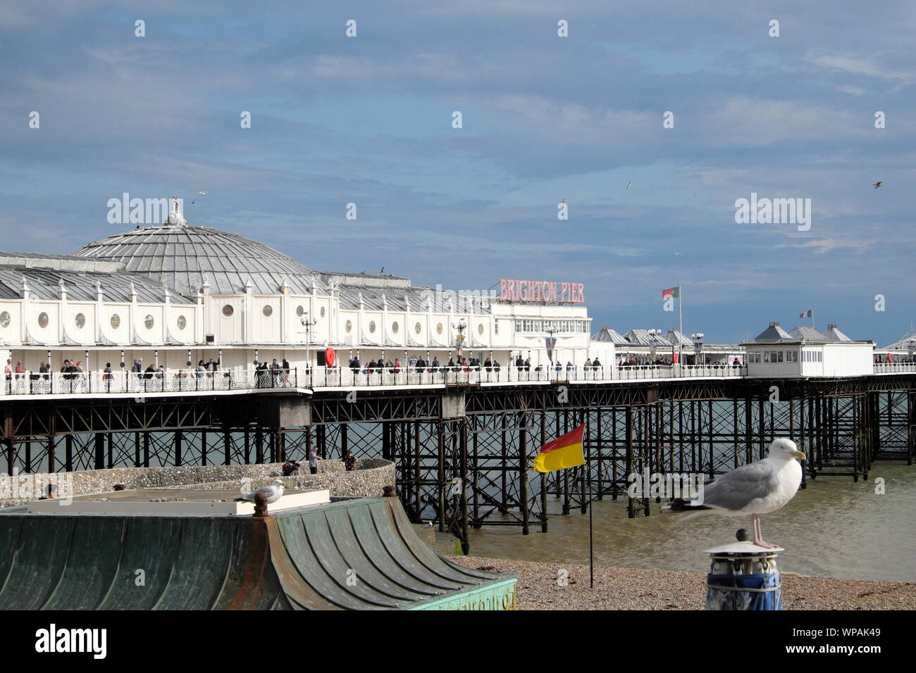 Perched seagull on the beach and people walking along Brighton Pier in East Sussex England UK  KATHY DEWITT Stock Photo