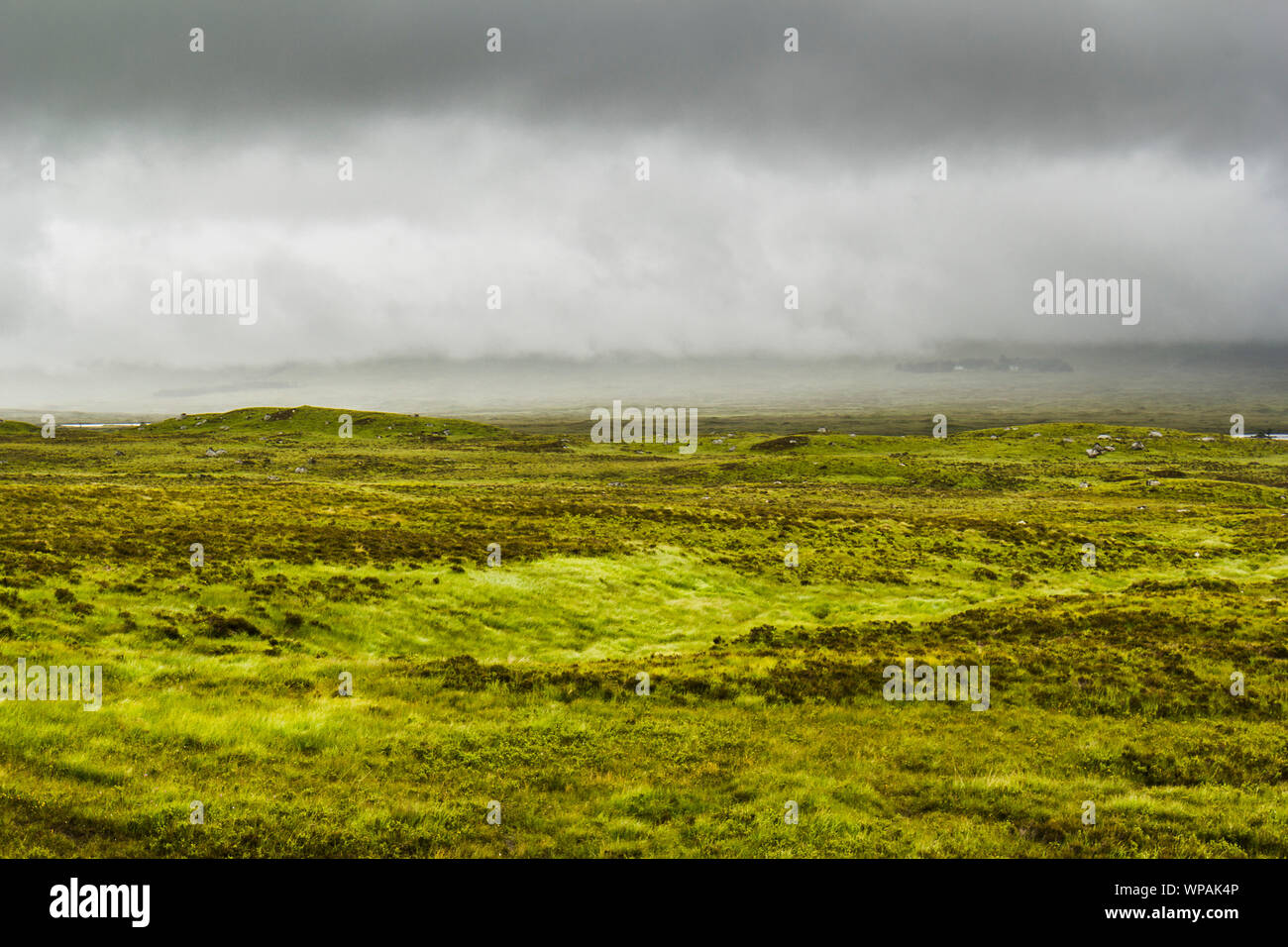 Glen Coe moorland grasses Stock Photo