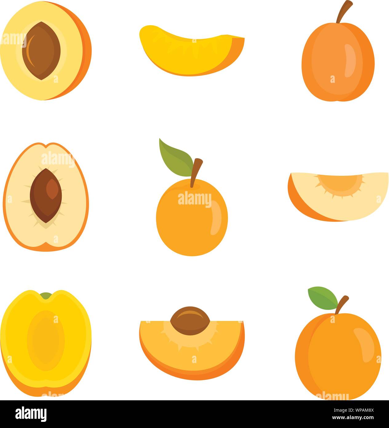 Apricot icons set. Flat set of apricot vector icons for web design ...