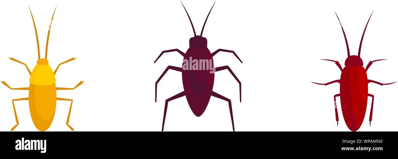Cockroach icons set. Flat set of cockroach vector icons for web design ...