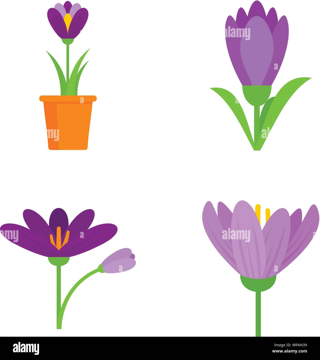 Crocus icons set. Flat set of crocus vector icons for web design Stock