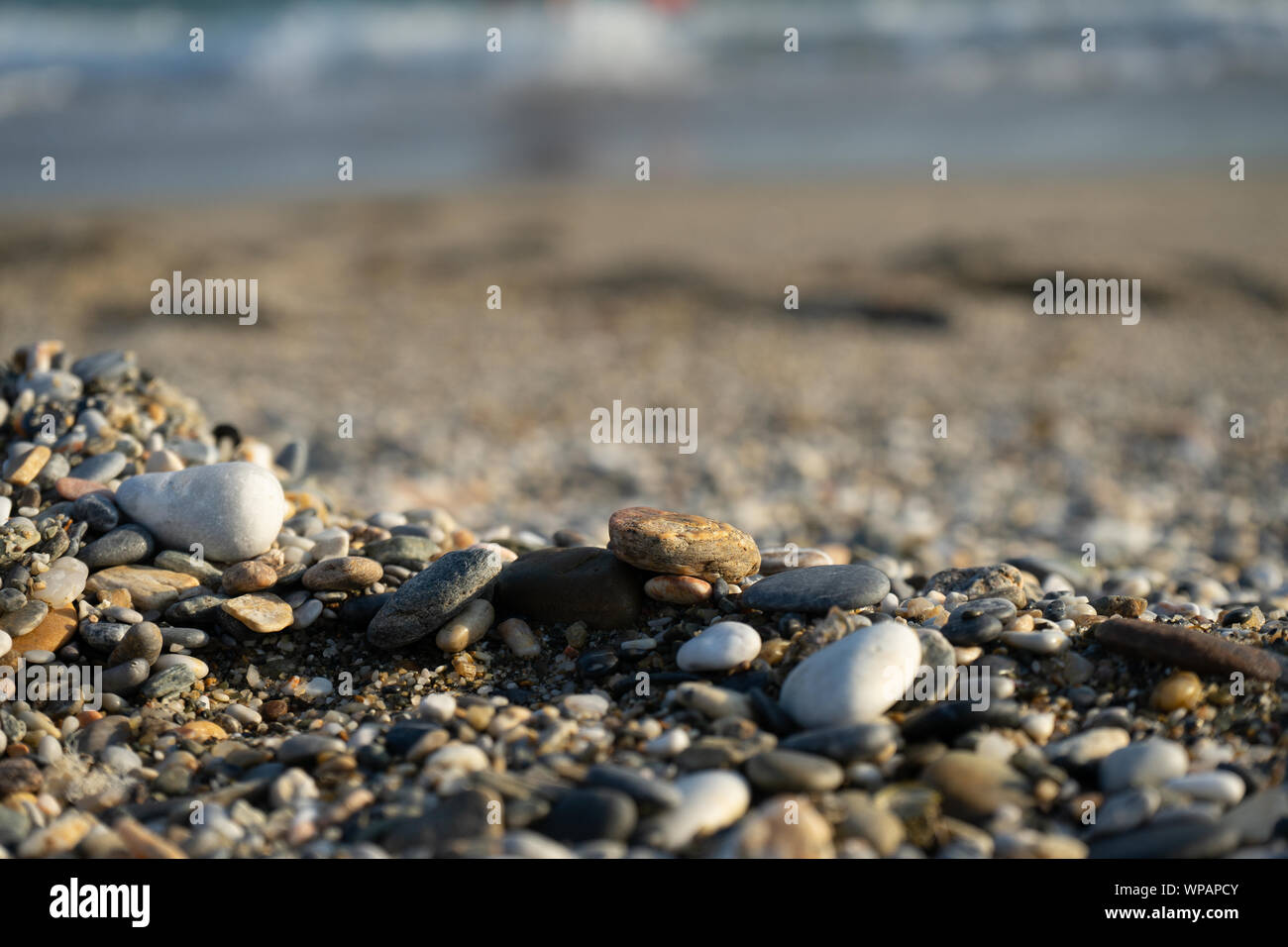 Wet sea pebbles and seashells on a wet sandy beach. Natural sea stones ...