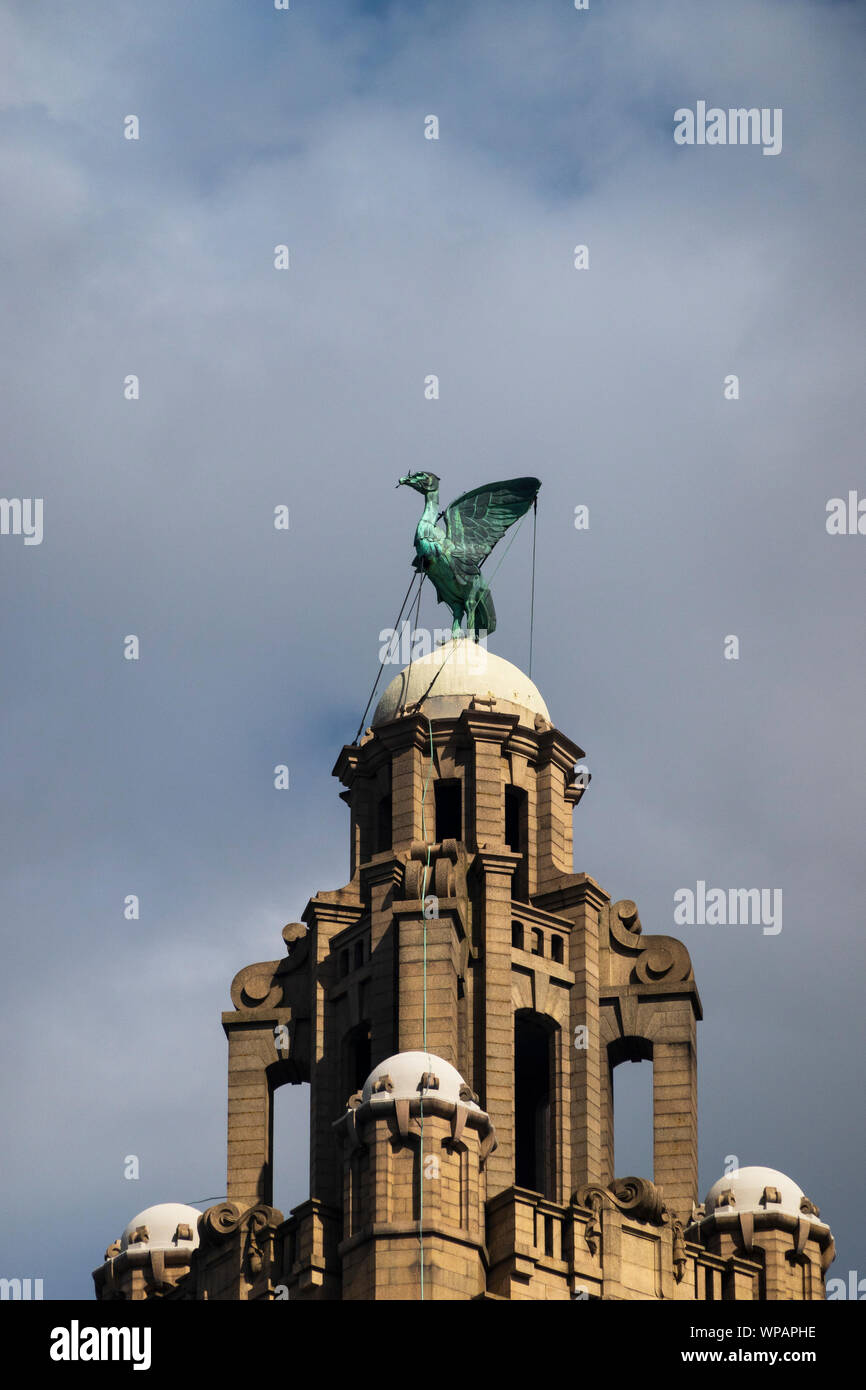 Liver Bird Liver Building High Resolution Stock Photography And Images 