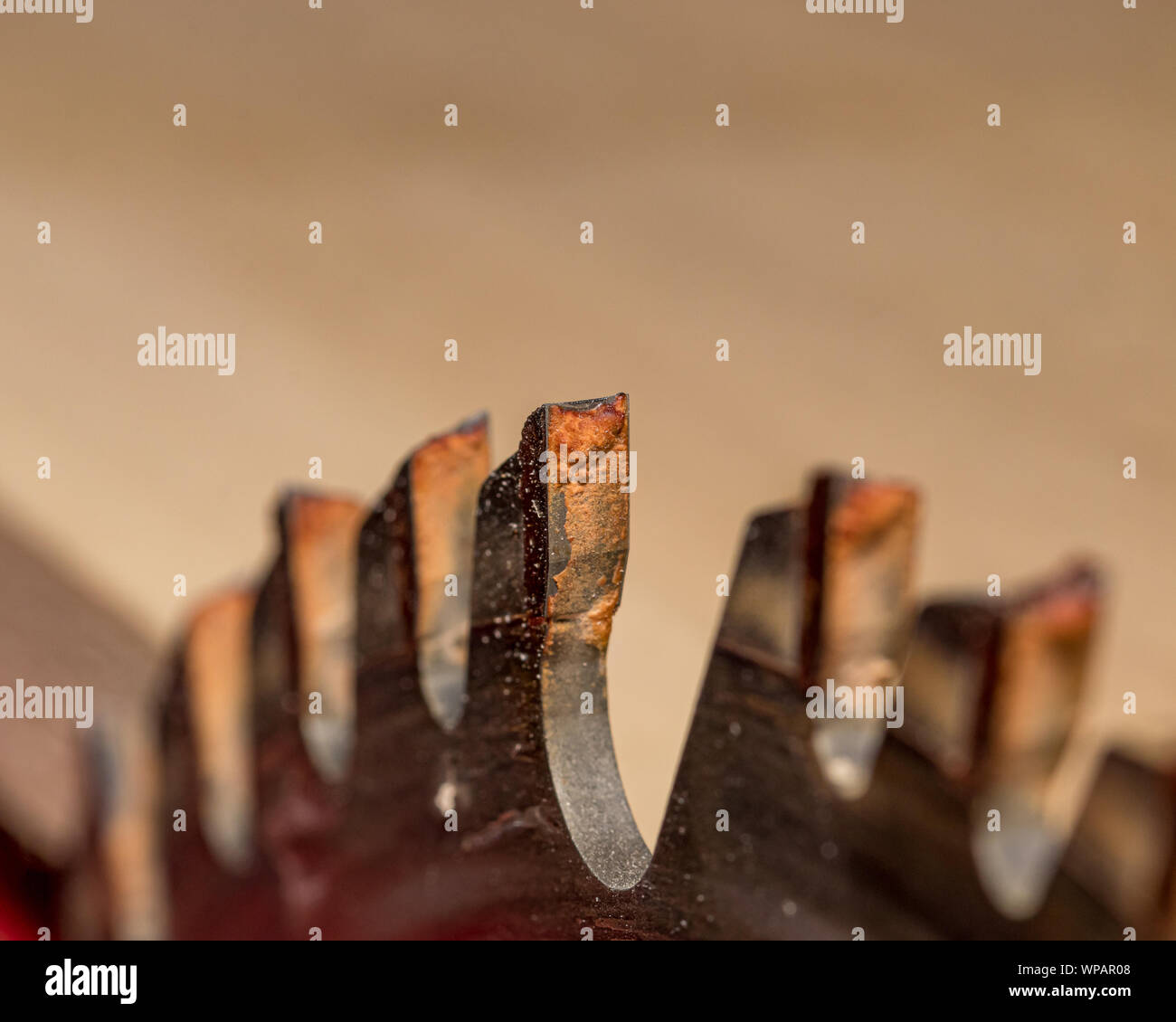 Closeup of pitch and resin build up on cutting edge of table saw blade that needs cleaning Stock Photo