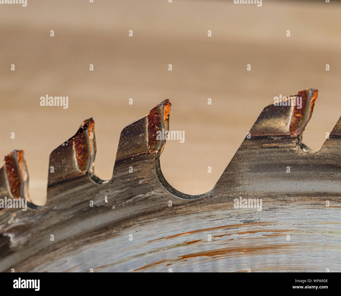 Closeup of pitch and resin build up on cutting edge of table saw blade that needs cleaning Stock Photo