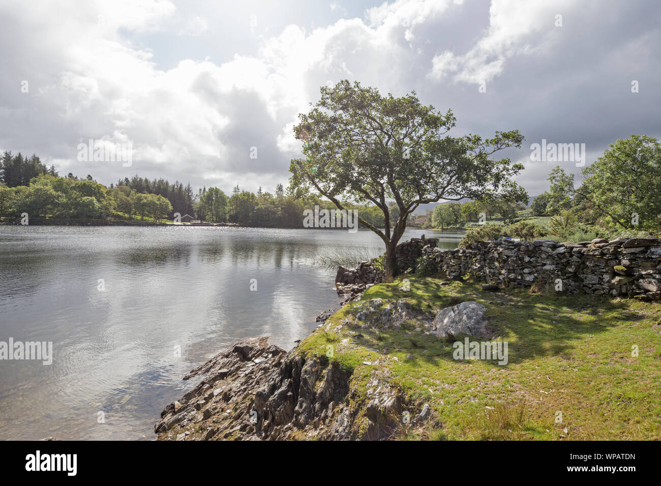 Llyn Cynwch lake on the popular Precipice Walk, Snowdonia National Park, North Wales, UK Stock Photo