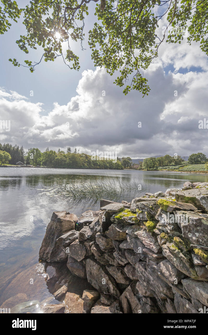 Llyn Cynwch lake on the popular Precipice Walk, Snowdonia National Park, North Wales, UK Stock Photo