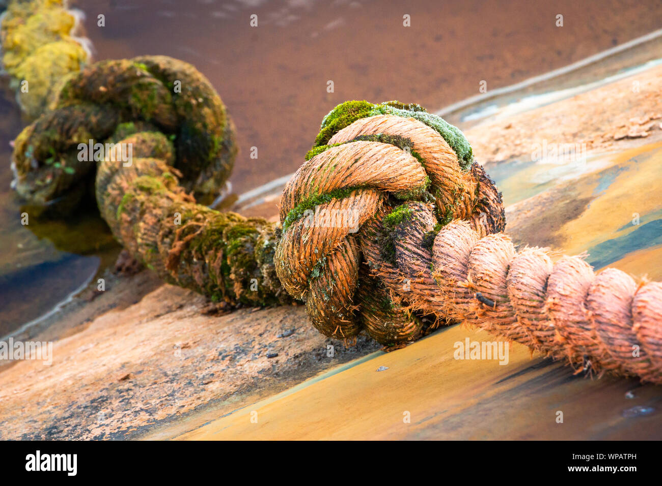 Thick orange nylon rope with knots to secure boats and ships in the harbor at the dock Stock Photo