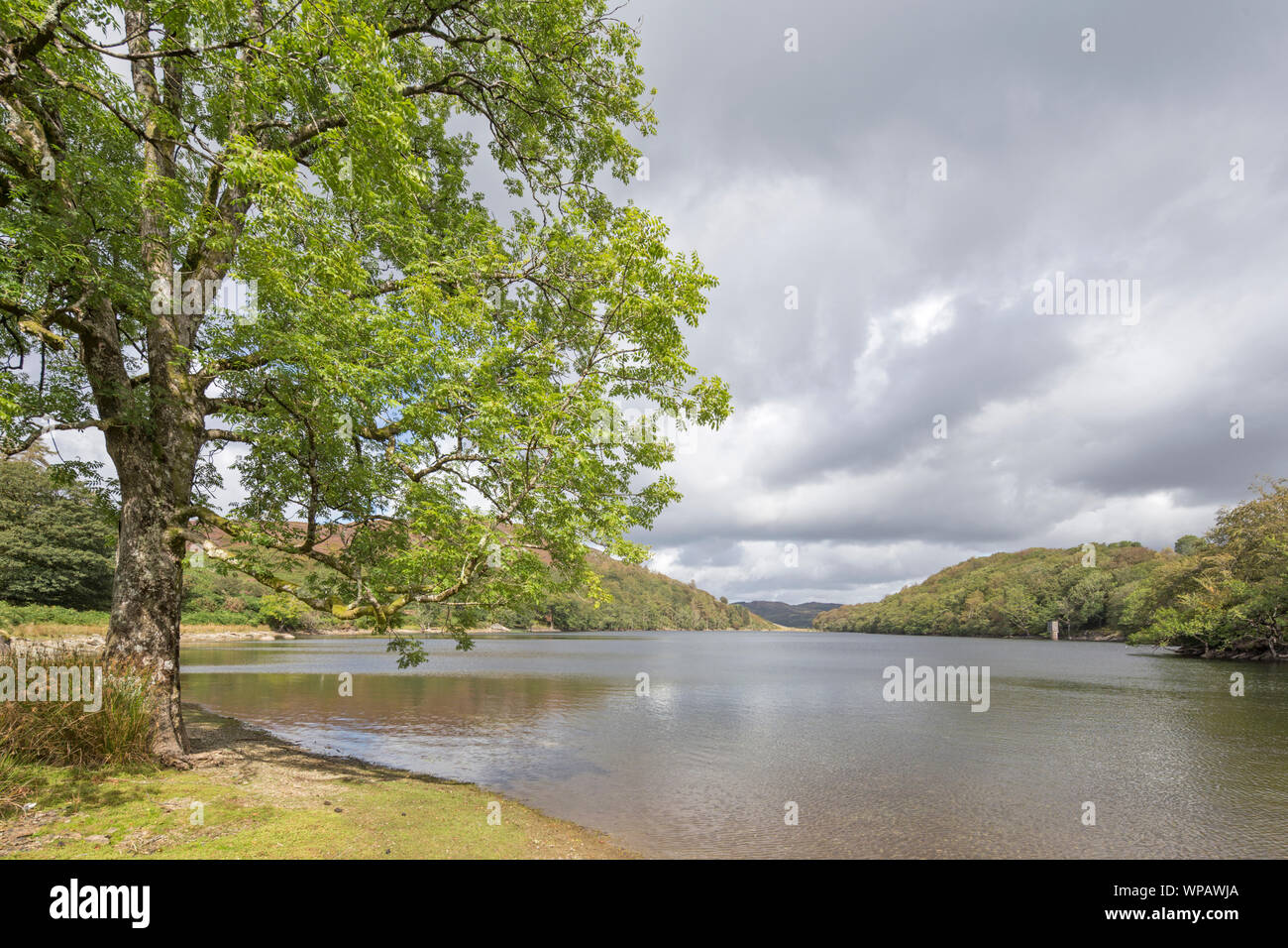 Llyn Cynwch lake on the popular Precipice Walk, Snowdonia National Park, North Wales, UK Stock Photo