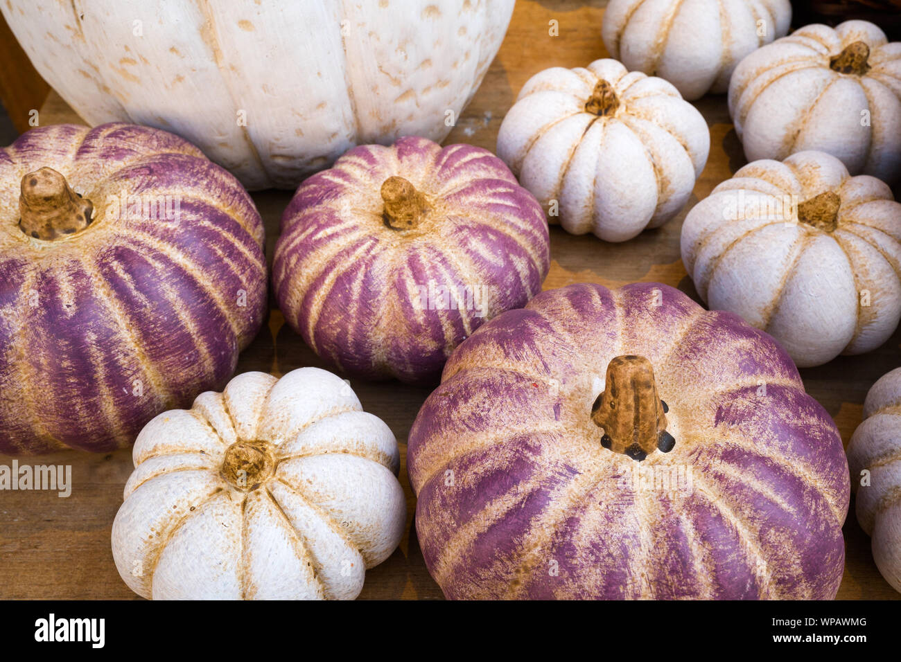 horizontal close up of organic and decorative white and purple