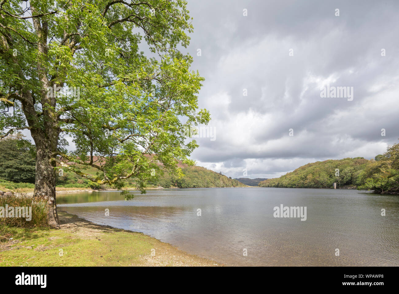 Llyn Cynwch lake on the popular Precipice Walk, Snowdonia National Park, North Wales, UK Stock Photo
