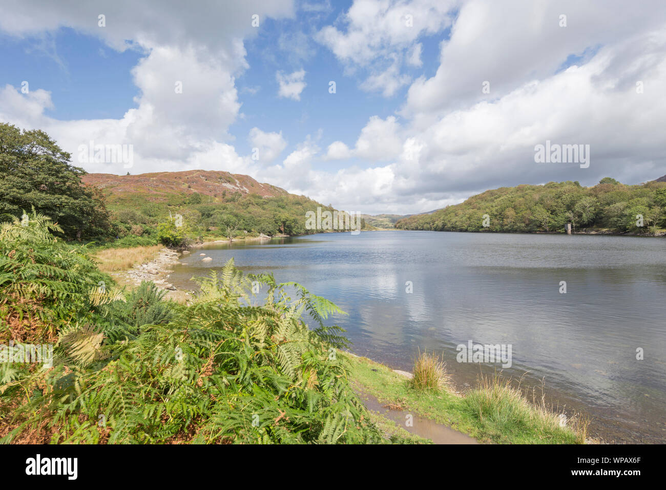 Llyn Cynwch lake on the popular Precipice Walk, Snowdonia National Park, North Wales, UK Stock Photo