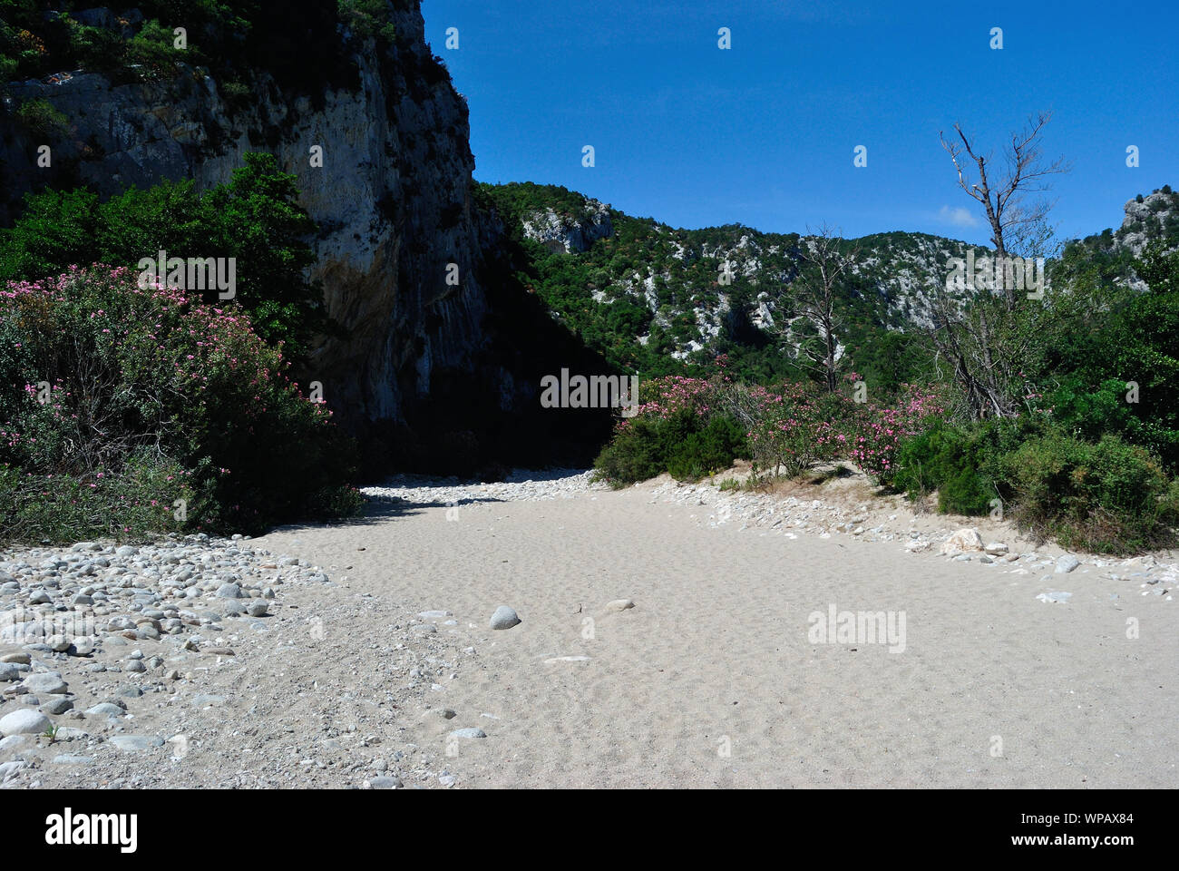 Codri Luna View of Codula of Luna Stock Photo - Alamy
