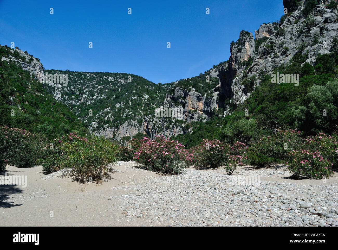 Codri Luna View of Codula of Luna Stock Photo - Alamy
