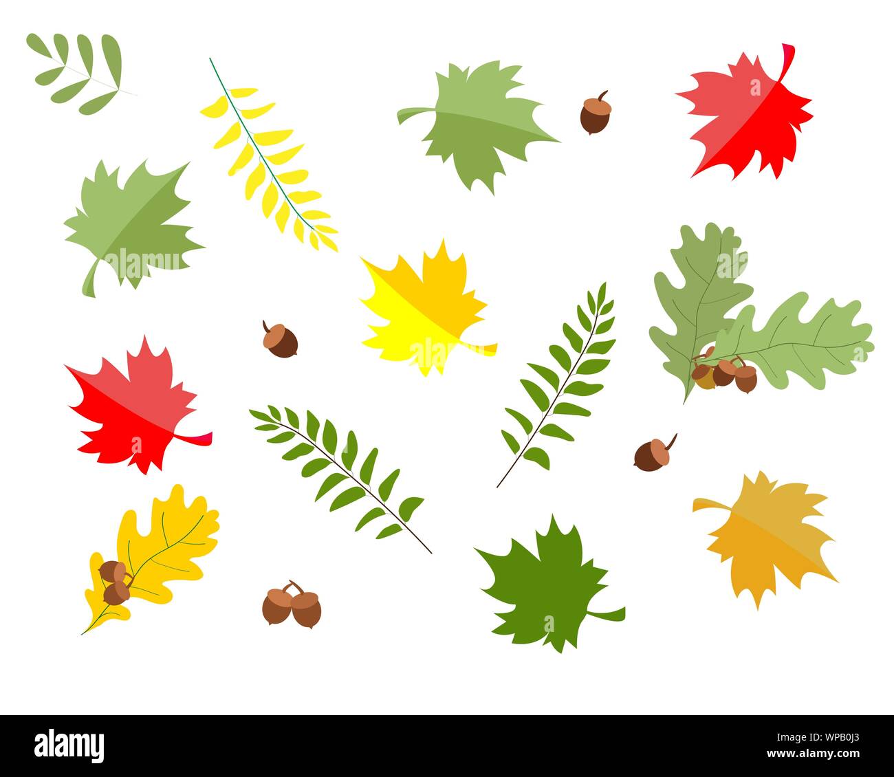 Pattern with autumn leaves on a white background. Vector illustration Stock Vector