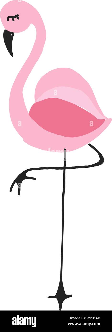 Pink flamingo vector illustration isolated on white background Stock ...
