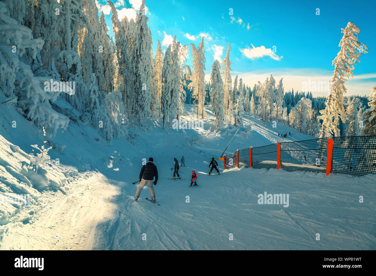 Popular winter ski resort with frozen trees and landscape. Active skiers skiing downhill and enjoying the nature, Poiana Brasov, Carpathians, Transylv Stock Photo