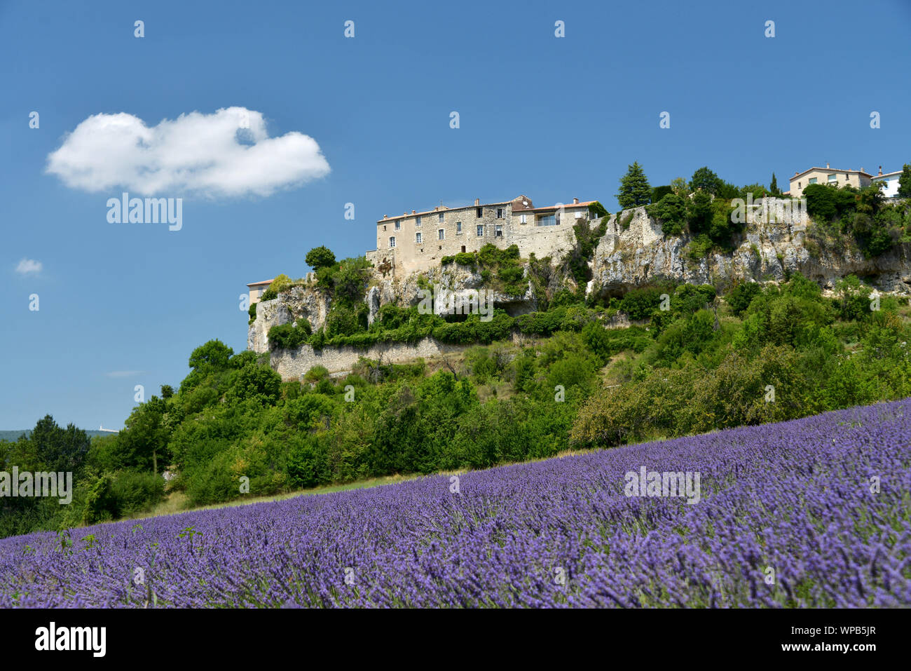 little Town Sault in Provence, France, in the july sun Stock Photo