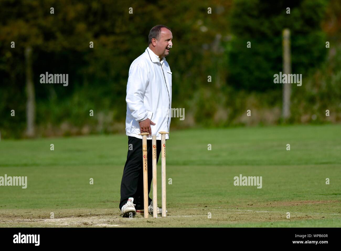 The umpire balances the bails on the stumps at the end of the Hazel Grove innings in the match against  Buxworth Stock Photo