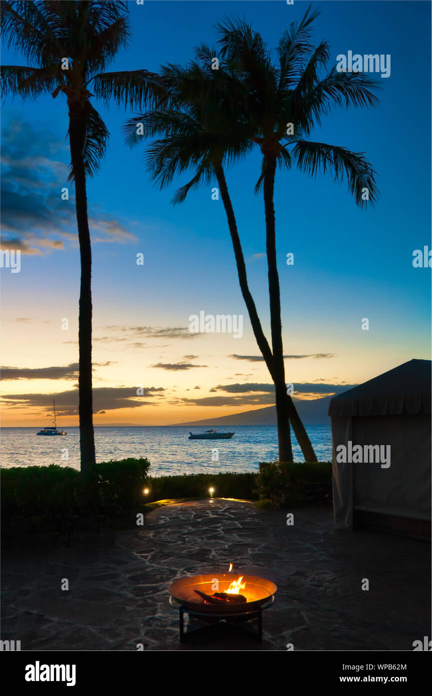 Wood Fire Pit In The Foreground With Palm Trees In Silhouette On