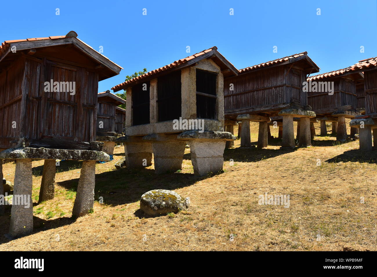 traditional Galician elevated grain store horreo Stock Photo
