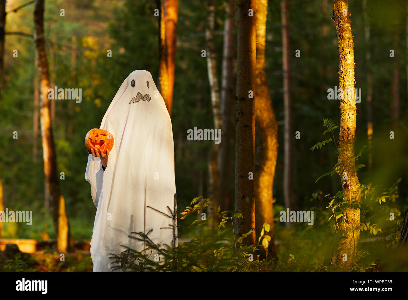 Woodland Ghost High Resolution Stock Photography and Images - Alamy
