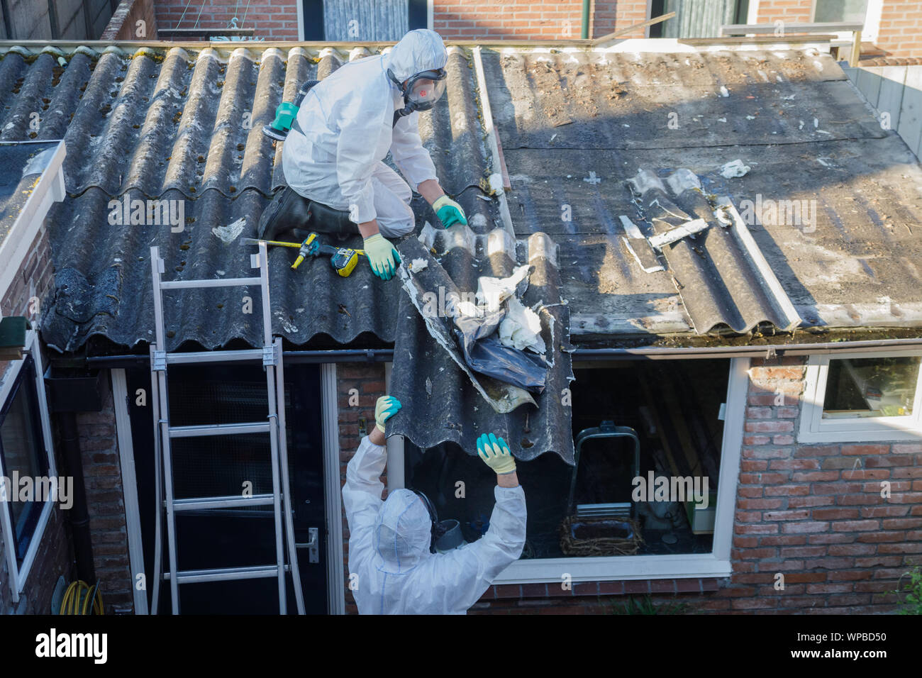 Professional asbestos removal. Men in protective suits are removing asbestos cement corrugated roofing Stock Photo