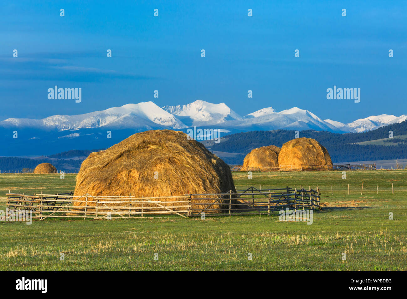 haystacks below the flint creek range near avon, montana Stock Photo